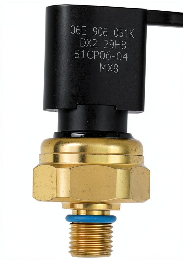 HiSport Fuel Injection Pressure Regulator for Audi-2